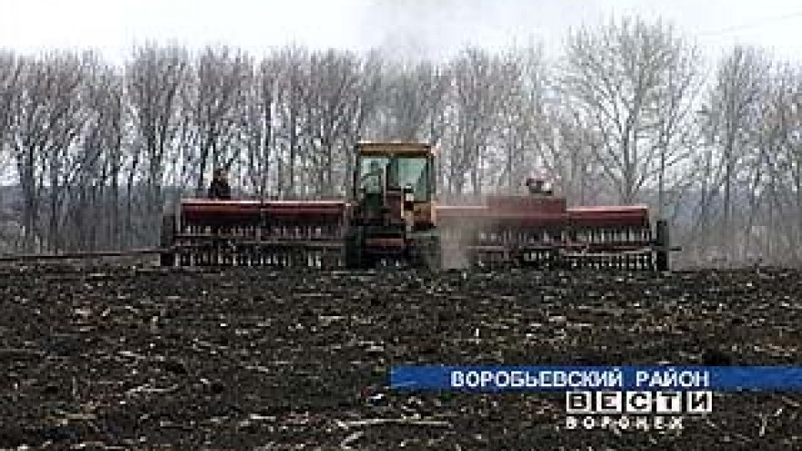 На юге области начались весенне-полевые работы