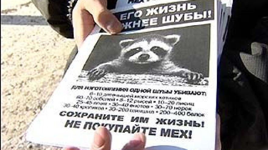 "Хранители радуги" организовали акцию в защиту прав животных