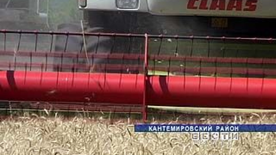 В Воронежской области негде хранить зерно нового урожая