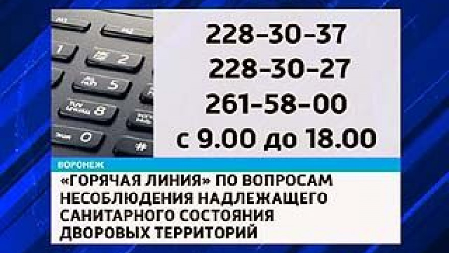В Воронеже открыли "горячую" линию по вопросам ЖКХ