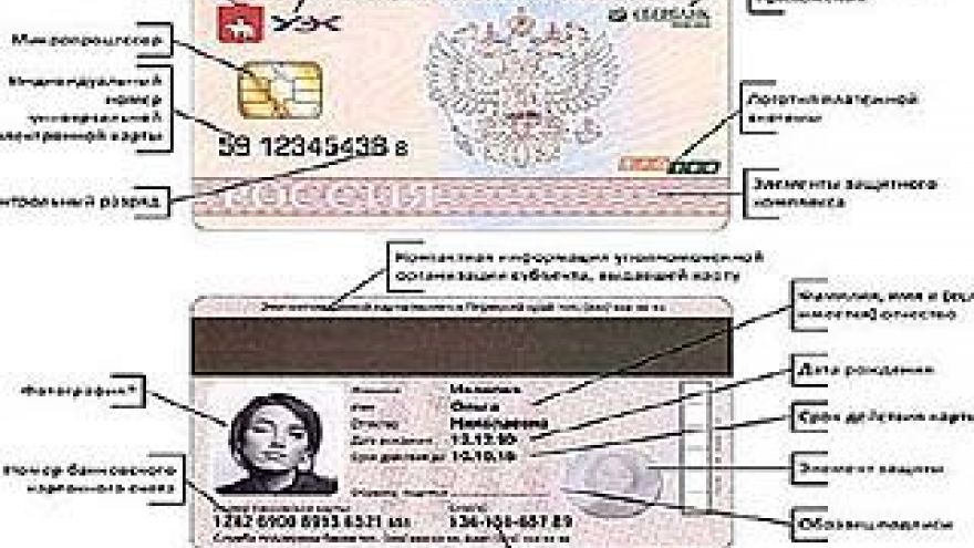"Мульти-паспорт будущего" - официально представили в Воронеже