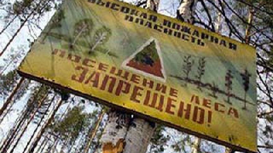 В 4 районах Воронежской области объявлен самый высокий - 5 класс горимости
