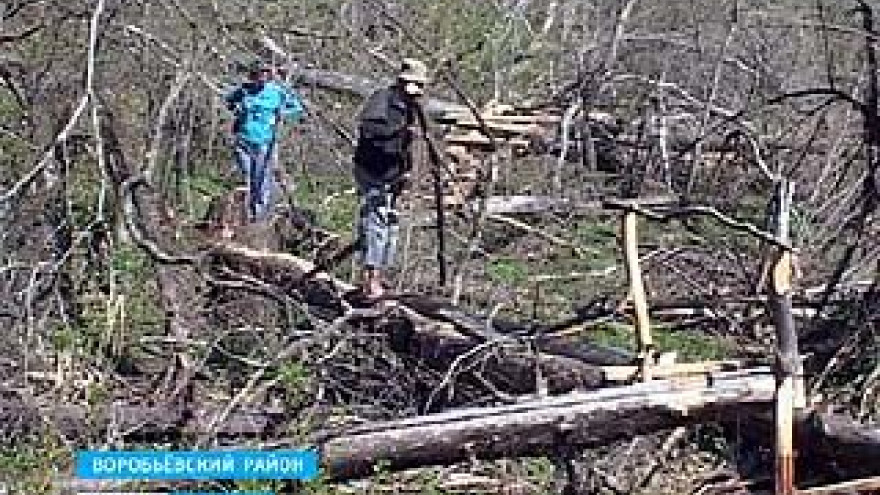 В Воробьёвском районе появился новый туристический маршрут