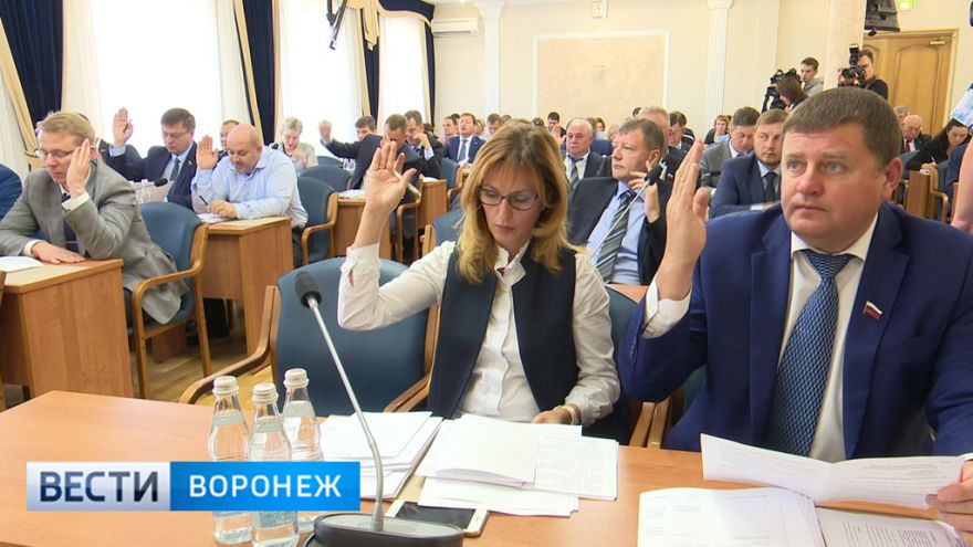 Гордума определилась с кандидатами в Общественную палату Воронежа нового созыва