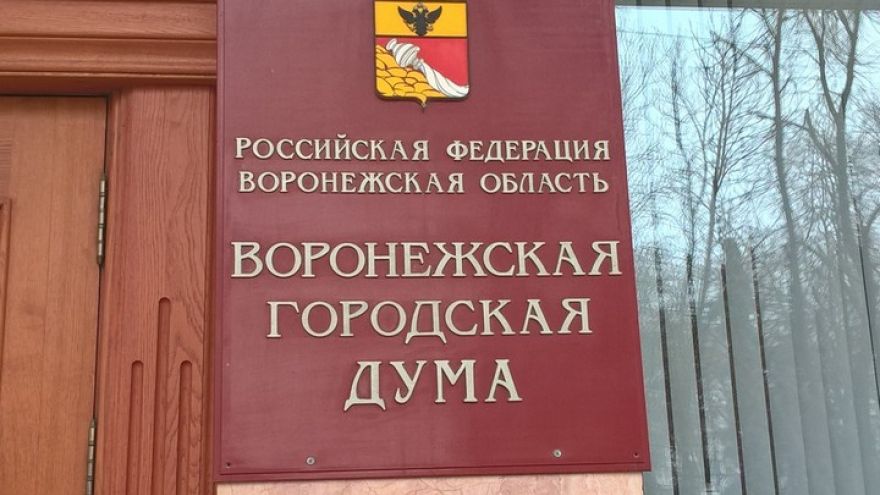 Не получившие информации о конференции по выборам мэра воронежцы подали в суд на гордуму