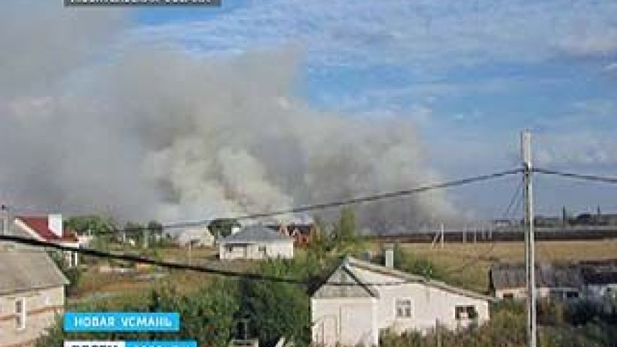 В Новой Усмани горели четыре гектара сухой травы
