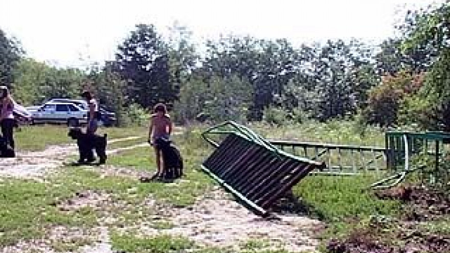 Воронежские собаководы остались без тренировочной площадки в парке "Динамо"