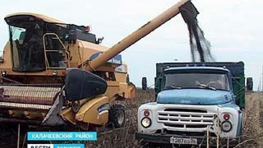 Дожди мешают уборке подсолнечника на юге Воронежской области