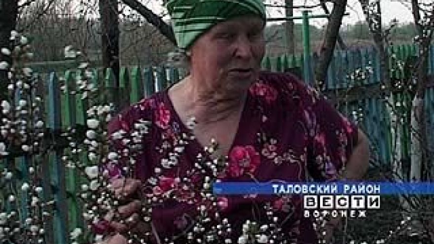 Пенсионеры Тереховы взяли шефство над поселком Богатырь