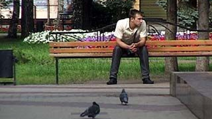 Птицы не улетели из Кольцовского сквера