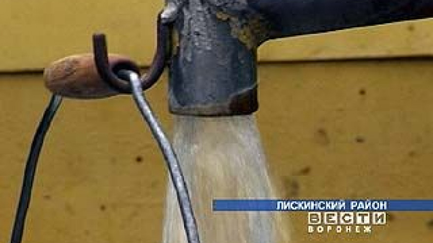 В селе Нижнемарьино воду отказываются пить не только люди, но и куры
