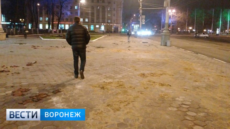 Воронежцы пожаловались на разбитую плитку в центре города