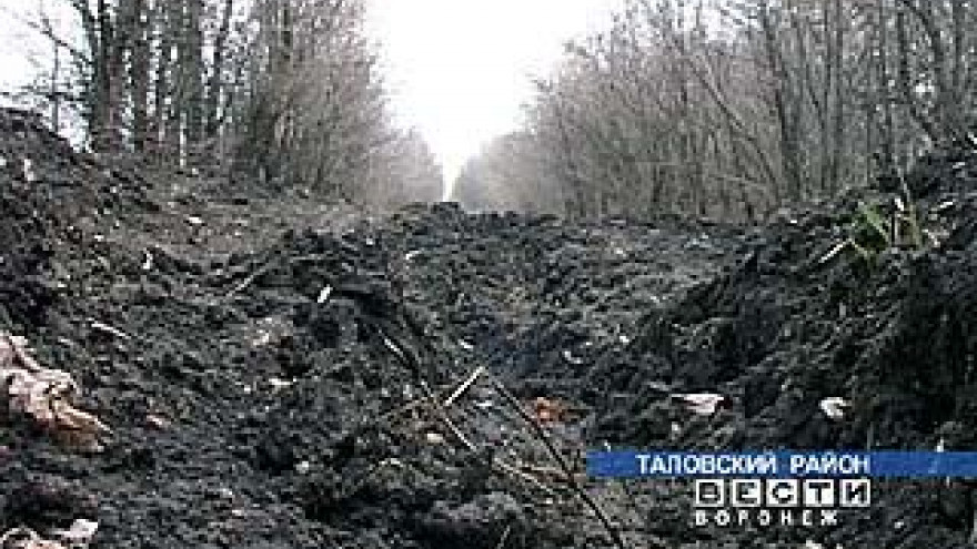 Бездорожье - причина вырождения поселка Пахарь