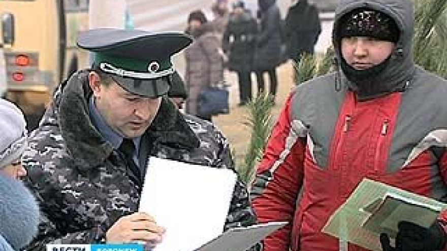 Инспекторам Россельхознадзора привозные ёлки добавляют работы