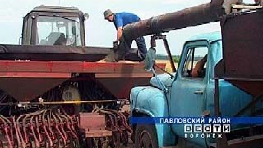Аграрии Воронежской области планируют завершить сев озимых