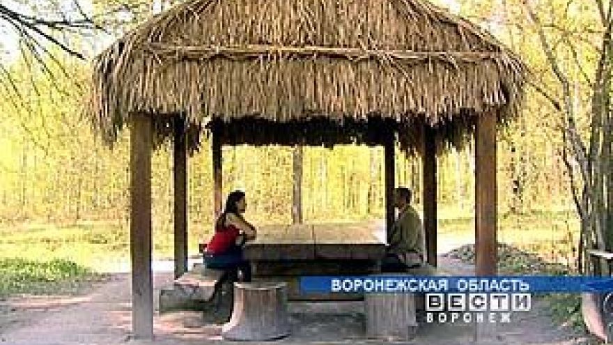 Россия ратифицировала конвенцию международной организации труда