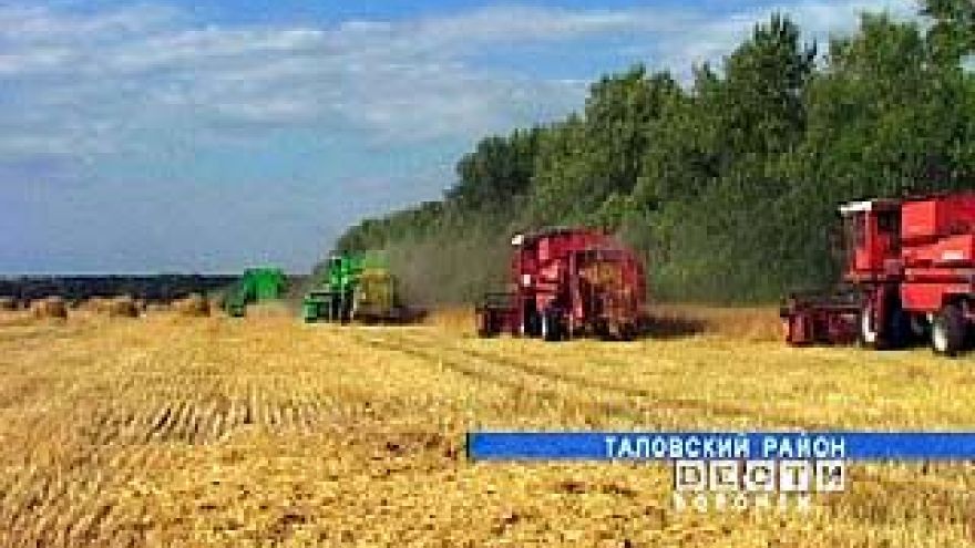 На территории Воронежской области идет уборка зерновых