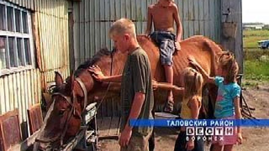 Воспитанники таловских интернатов проводят каникулы в семьях