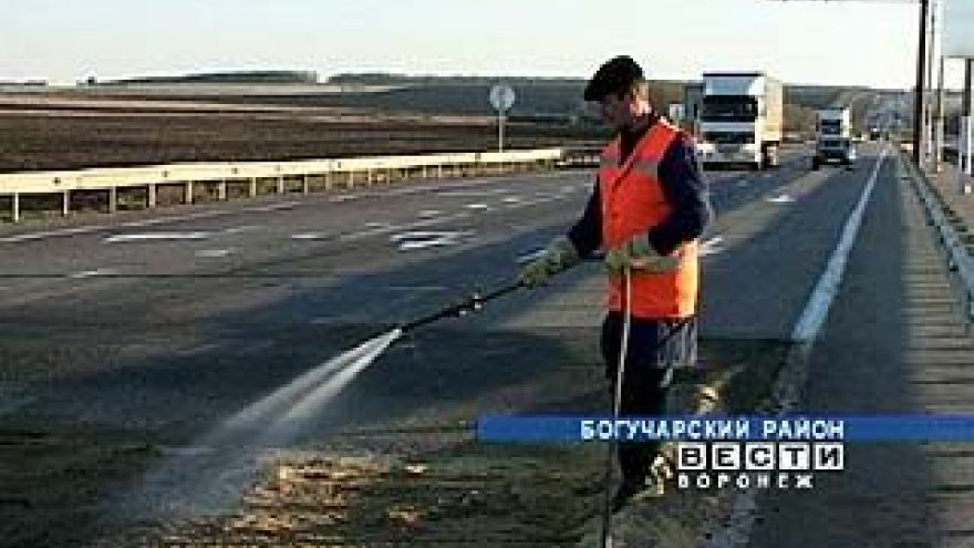 Ветеринарные врачи области готовятся поставить заслон африканской чуме