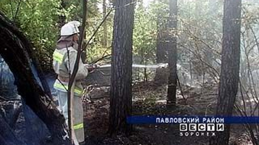 В Воронежской области объявлена чрезвычайная пожарная обстановка