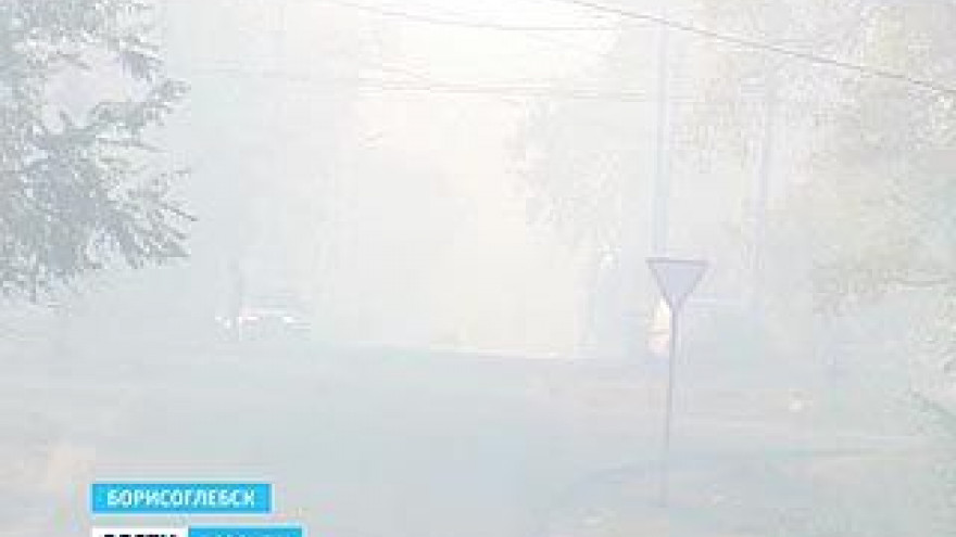 В Борисоглебске тлеет камыш - город и окрестности в едком дыму