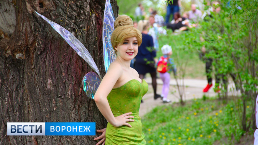 На Всероссийский аниме-фестиваль в Воронеж приедет один из создателей World of Tanks