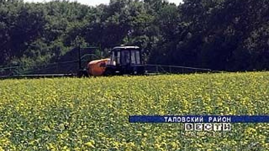 Из-за кризиса на рапс резко упал спрос