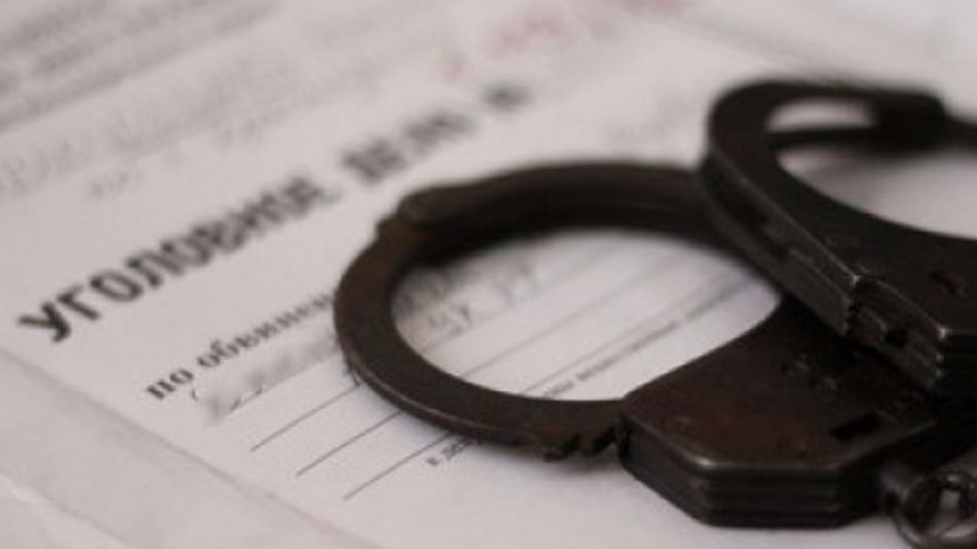 В Воронеже бизнесменов поймали на хищении у государства 9 участков стоимостью 13 млн рублей