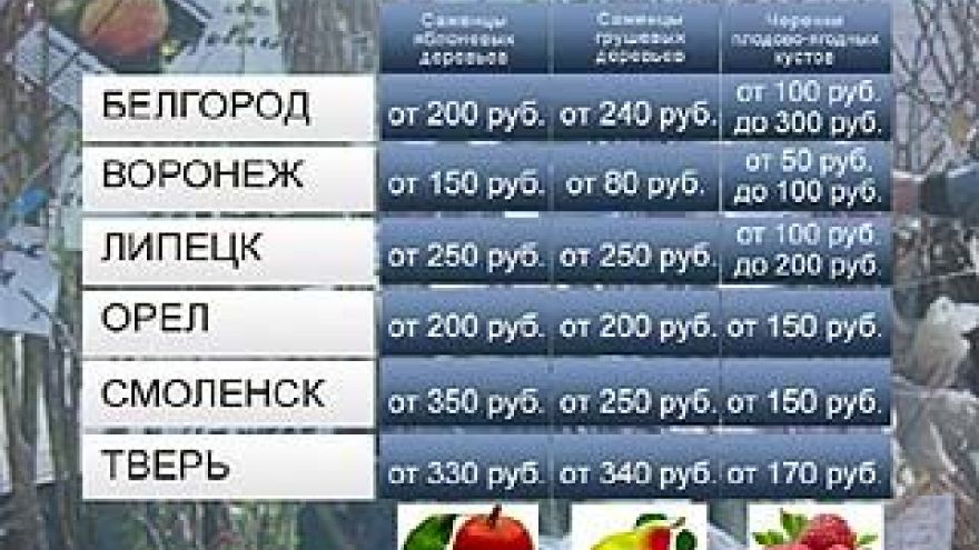 Воронежским садоводам повезло с ценами на саженцы