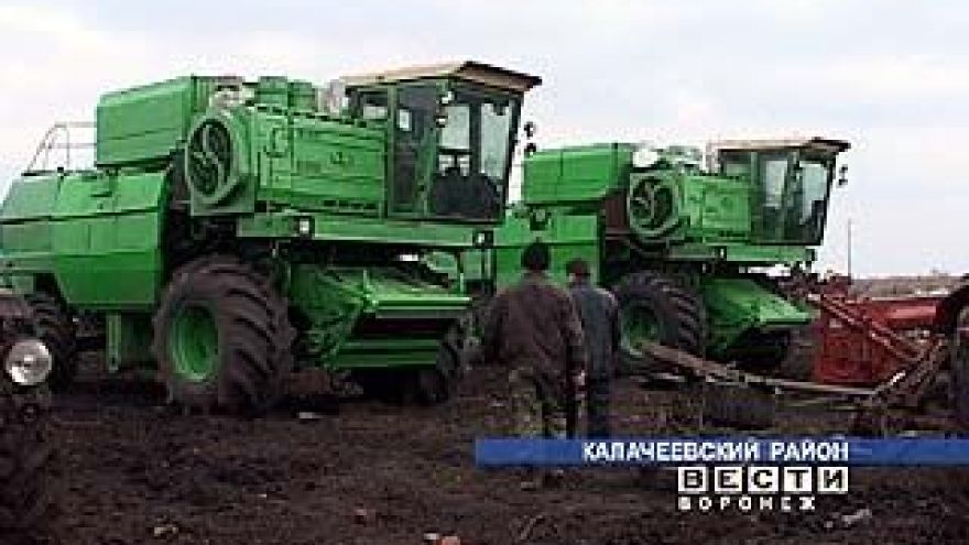 Новая посевная - новая головная боль