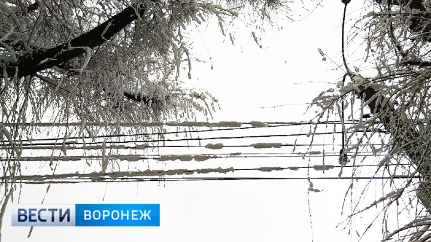 В Воронежской области после снегопада вернули свет в 105 населённых пунктов