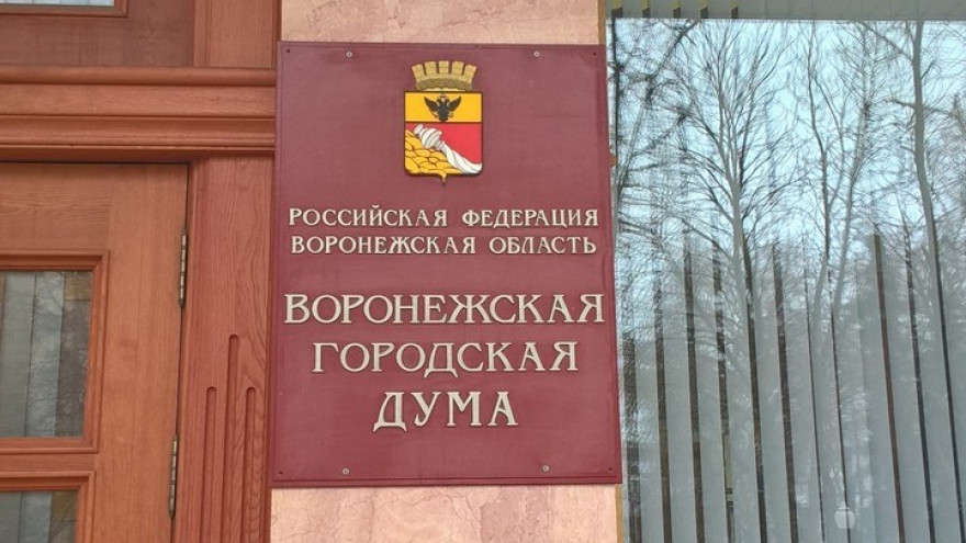 «Цирк и саботаж». В Воронеже отменили конференцию по обсуждению порядка выборов мэра