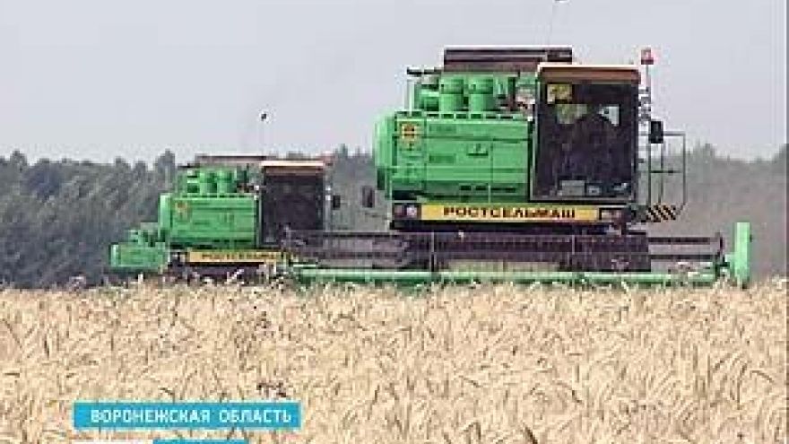 В Воронежском регионе собран первый миллион тонн зерна