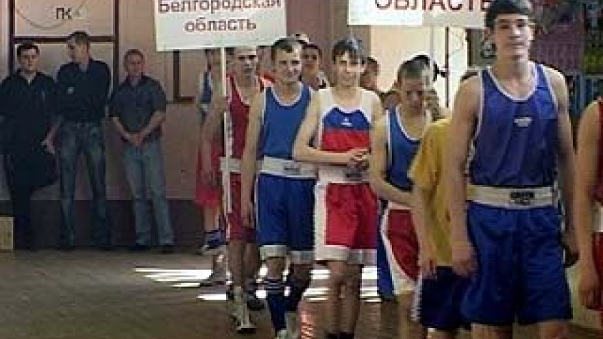 Всероссийская летняя спартакиада учащихся по боксу проходит в Воронеже