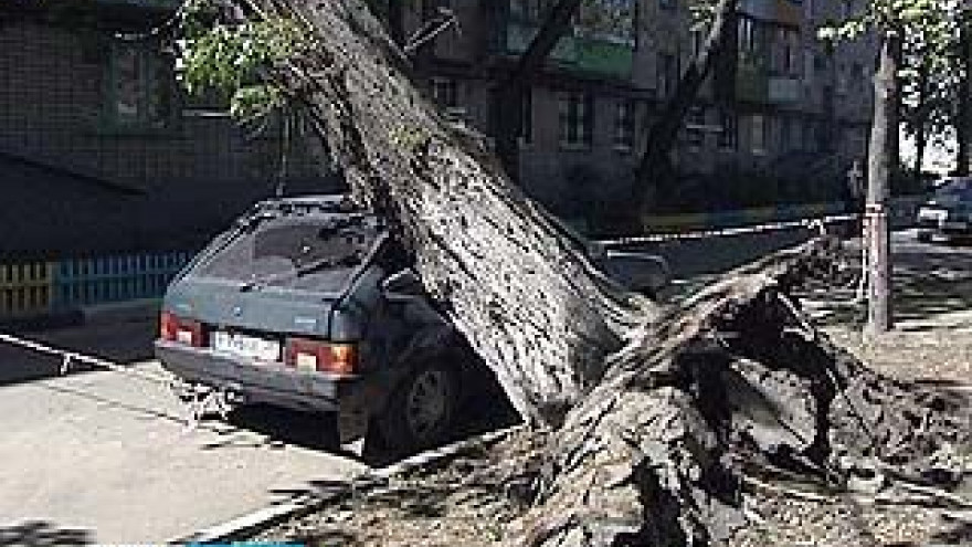 В Воронежской области устранили последствия урагана