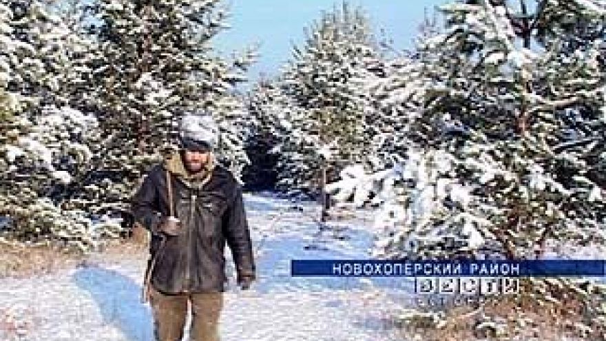 Телермановский лес станет охраняемой государством территорией