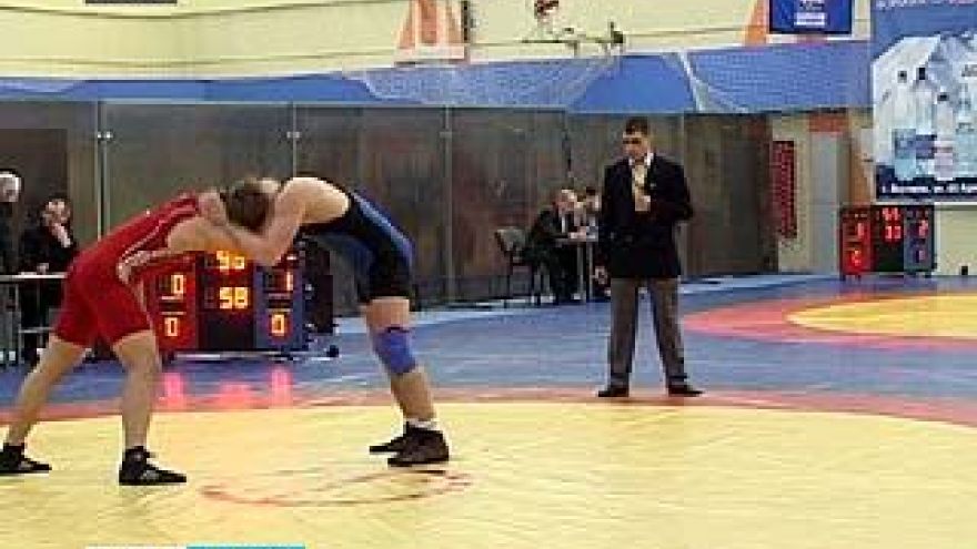 Воронежские борцы достойно показали себя на соревнованиях