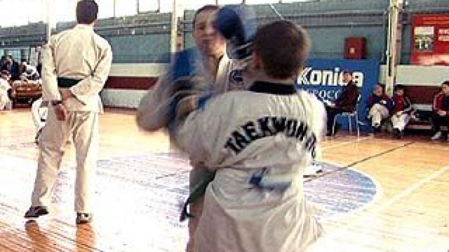 Чемпионом мира по тэквон-до стал воронежец