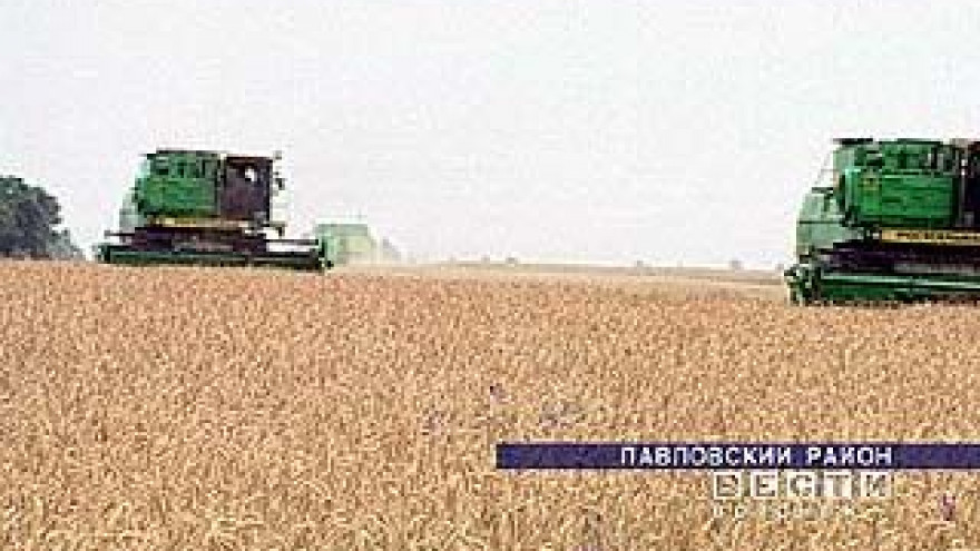 В Воронежской области стартовала уборочная кампания