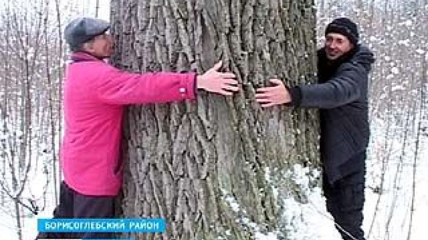 Два пчеловода из Борисоглебска стали изобретателями в растениеводстве