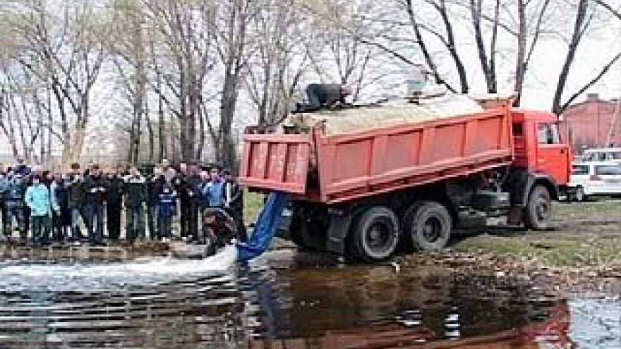 В Воронежском водохранилище появились новые жители