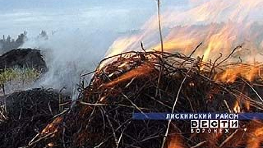 Уборка - пора во всех смыслах горячая