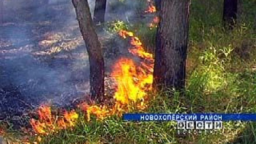 На территории Краснянского поселения вспыхнул лесной пожар