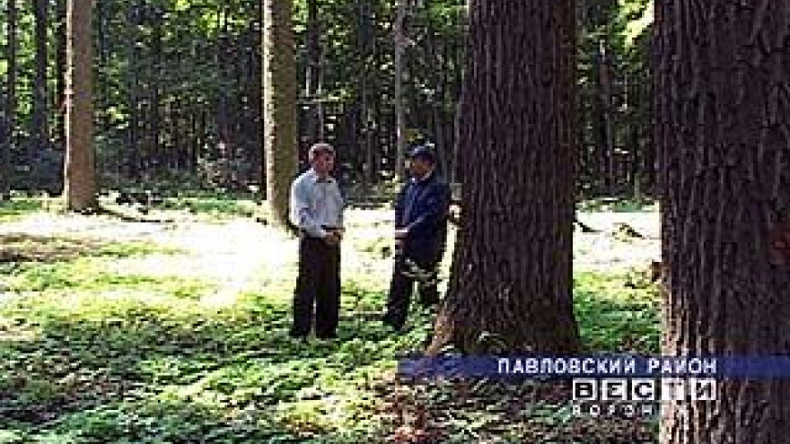Лесники Воронежской области отметили профессиональный праздник