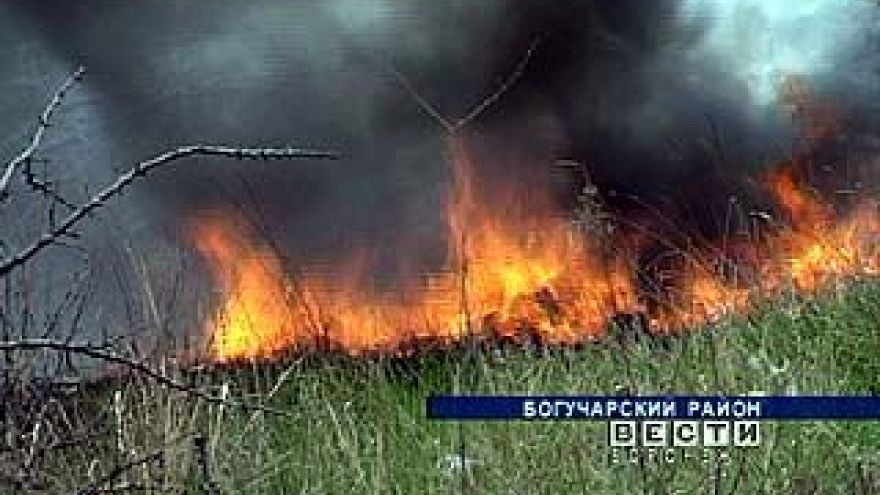 В области каждый день регистрируют до 30 возгораний сухой травы