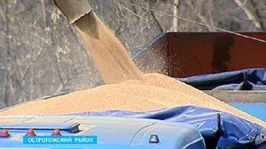 Хозяйства области активно скупают фураж из государственных хранилищ