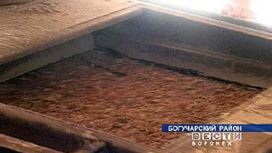 Некоторые хозяйства приобретают собственные сушильные комплексы