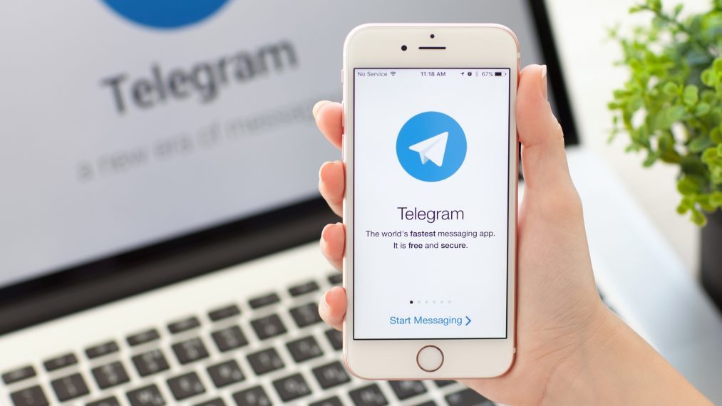      web-   telegram 