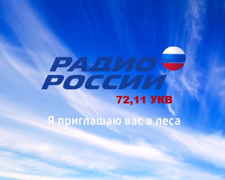 Приглашаем вас в леса