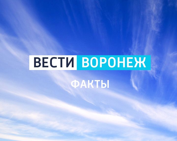 Факты